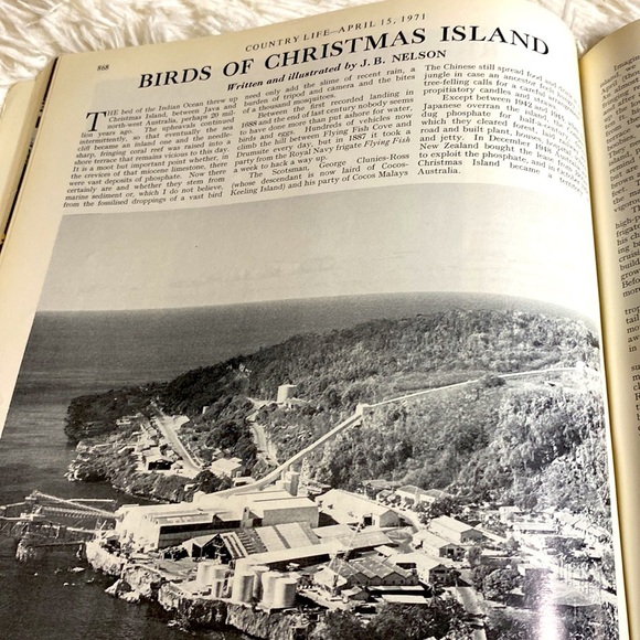 COUNTRY LIFE MAGAZINE VINTAGE WILD LIFE NUMBER ENGLAND April 1971 - Picture 3 of 12